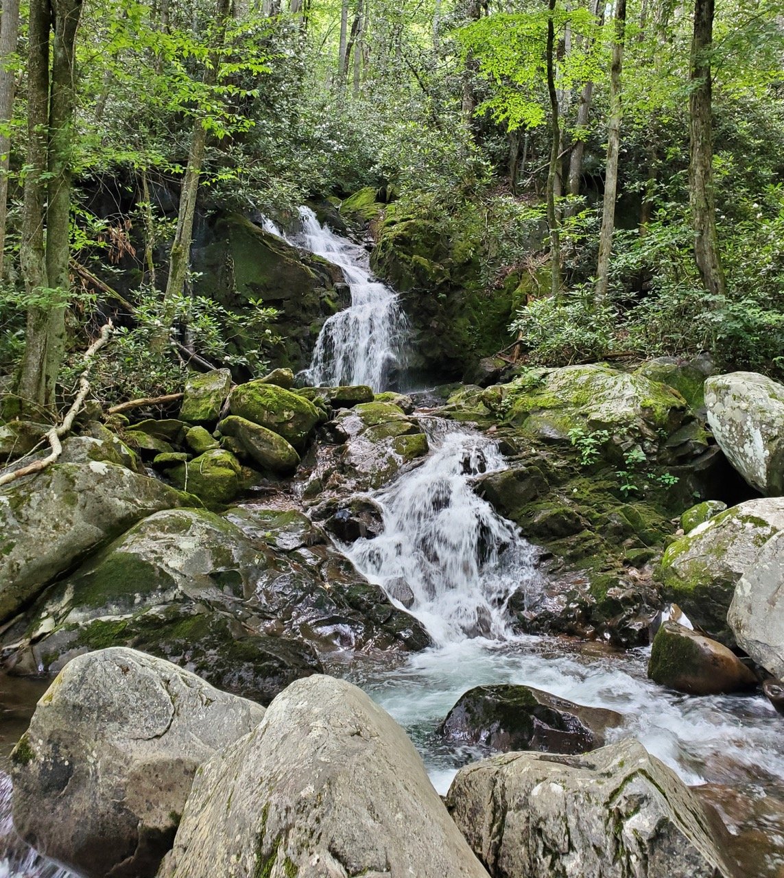 Small waterfall in the Smoky mountains