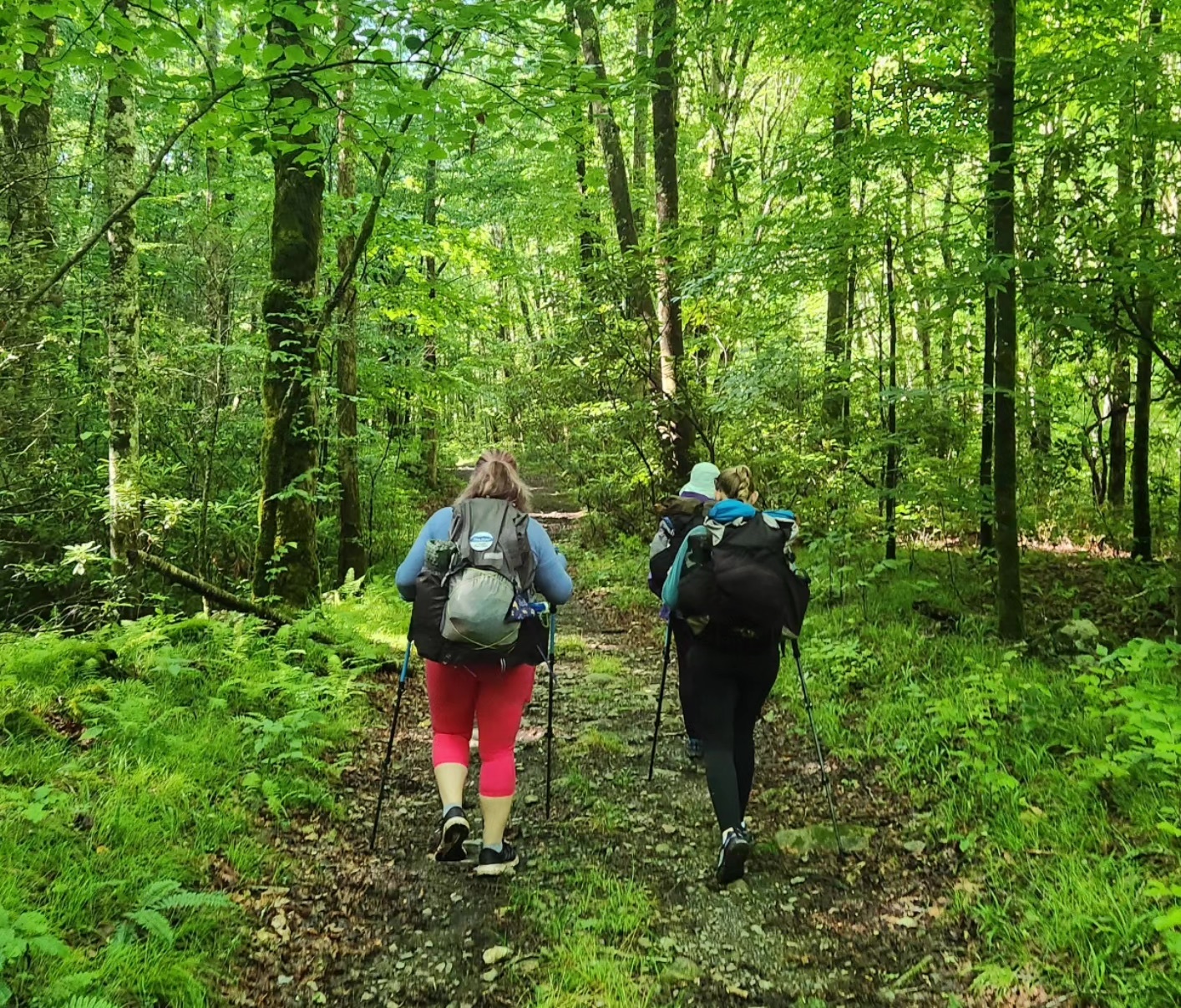 Two hikers in the Smoky Mountains