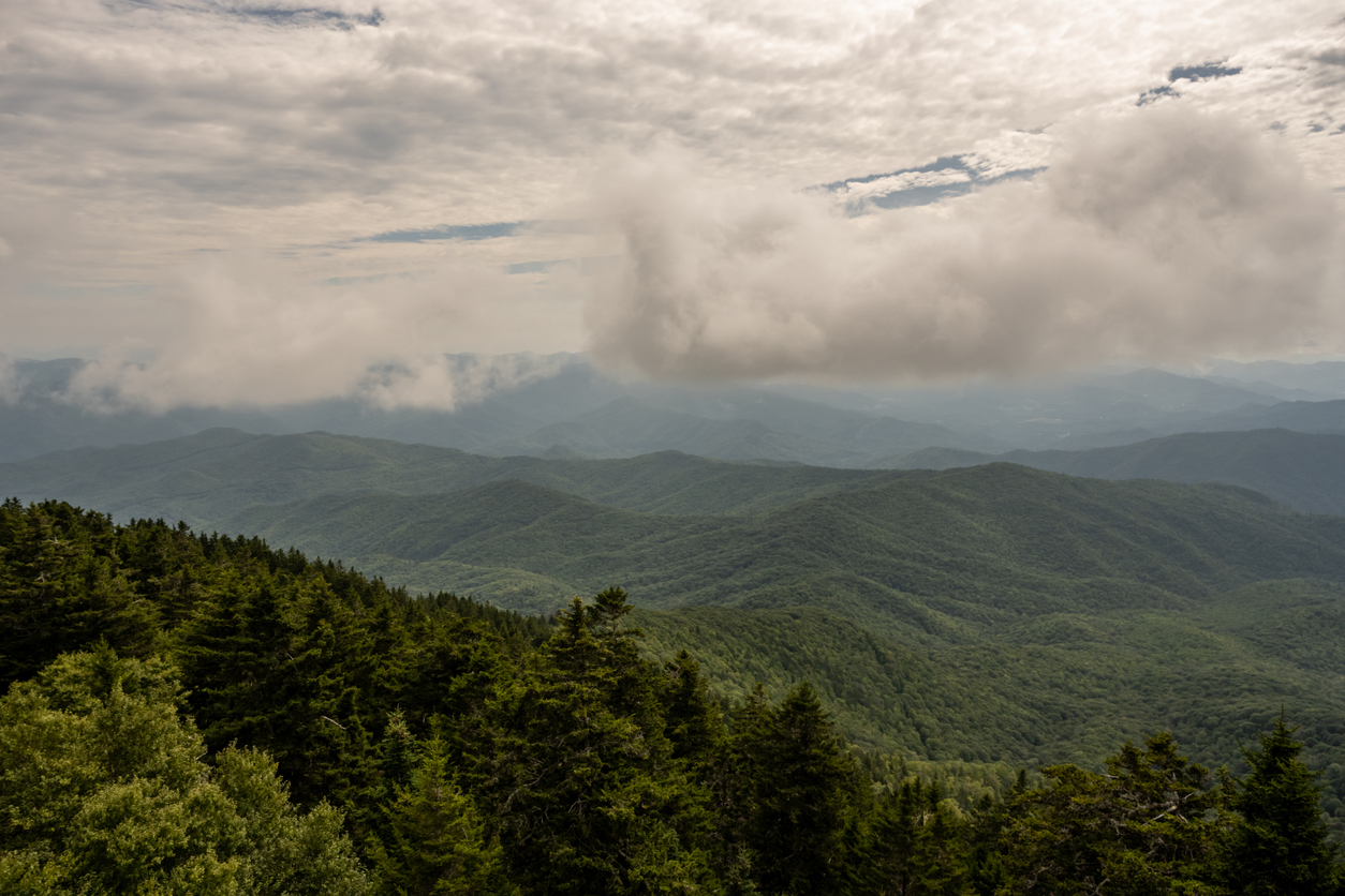 View from Mt. Sterling fire tower
