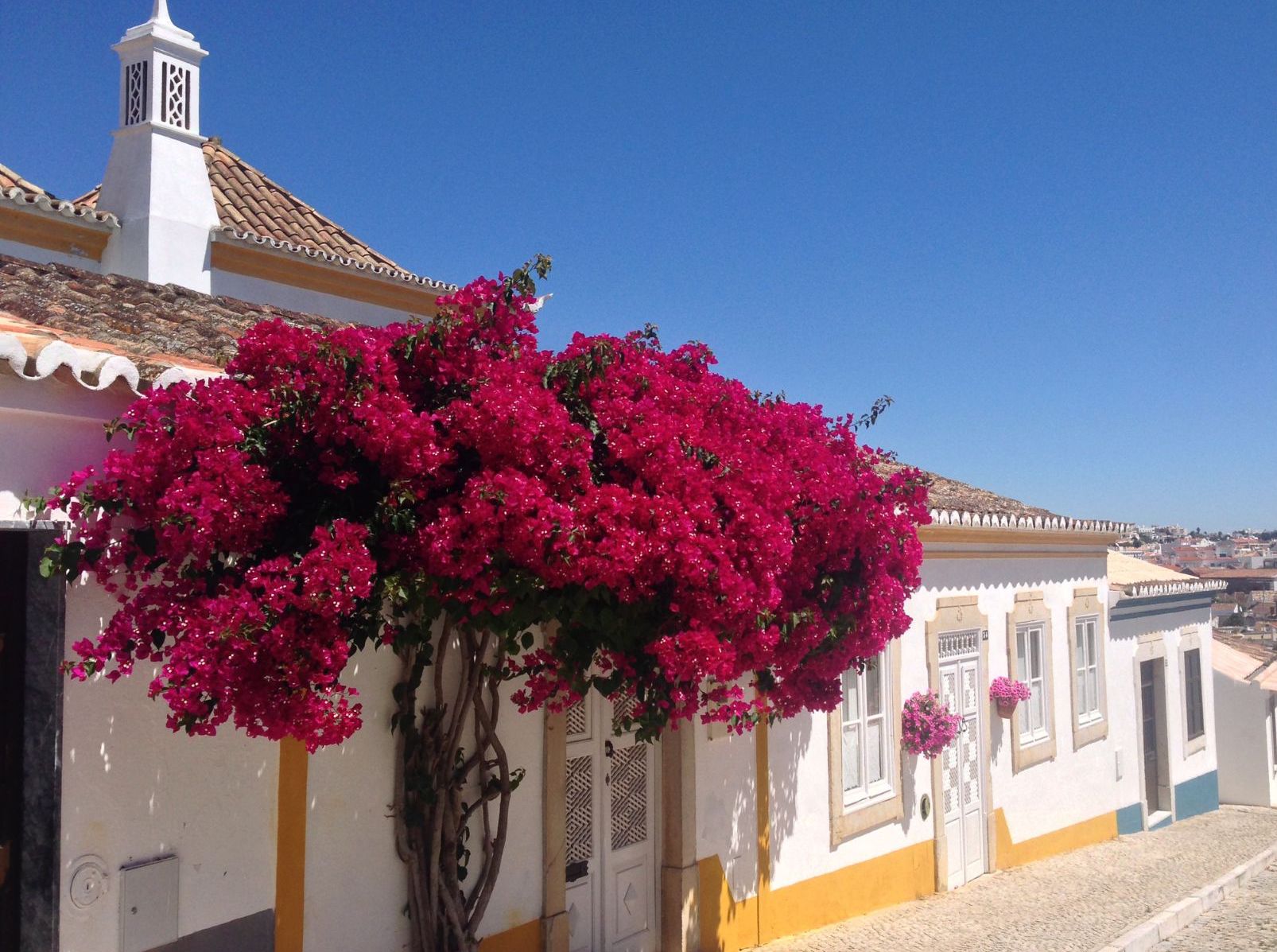 Algarve town and flowers