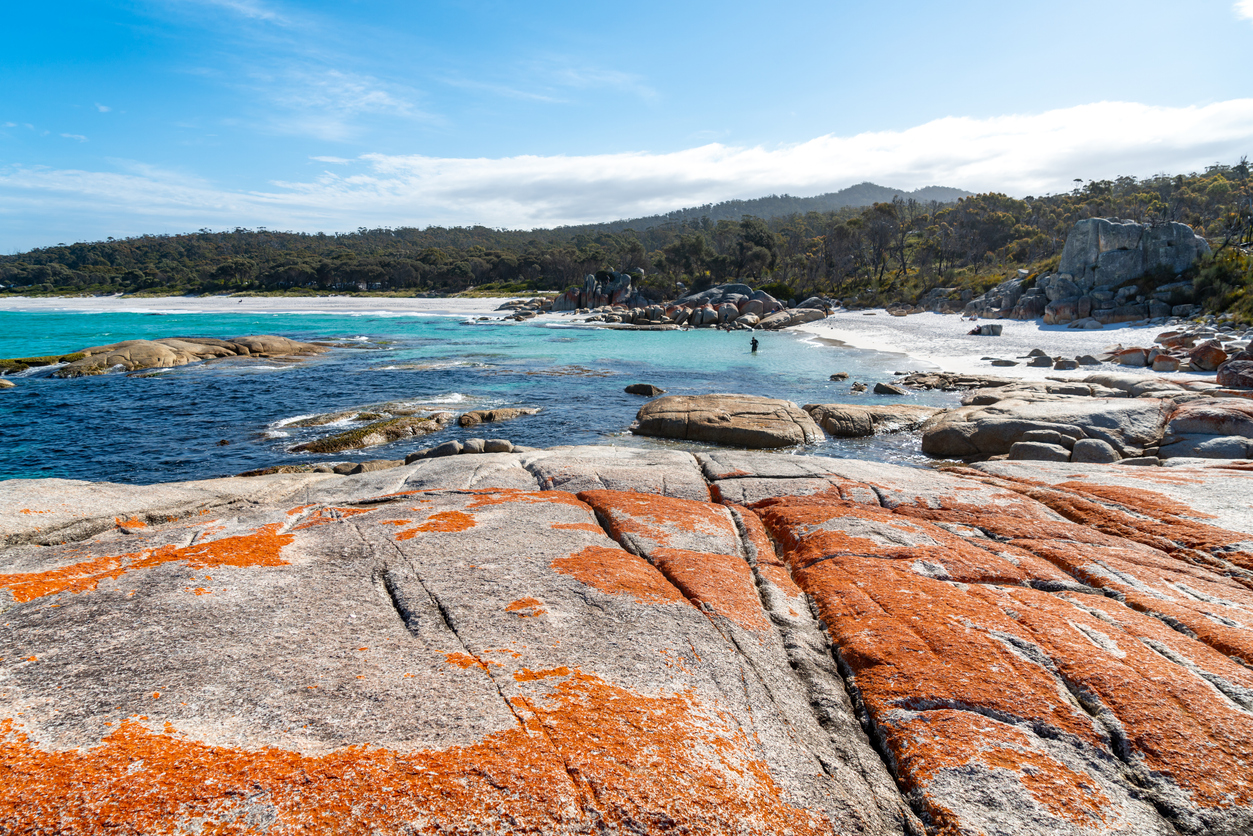 Bay of Fires and a beach in Tasmania