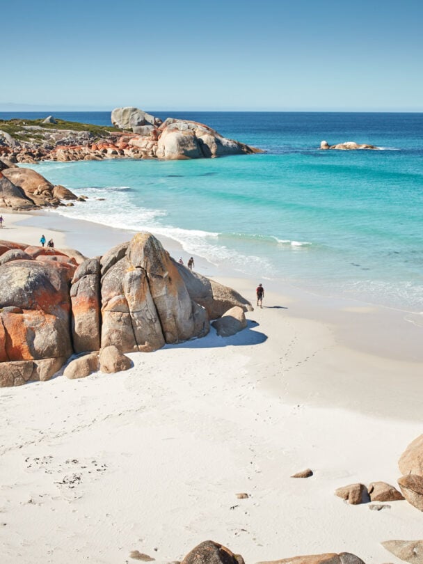Bay of Fires tour