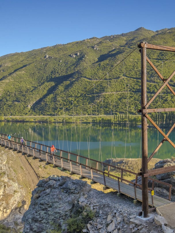 bridge cyclists new zealand