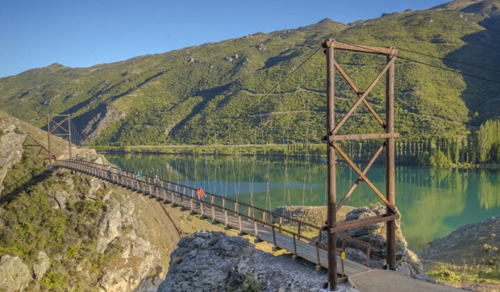 bridge cyclists new zealand