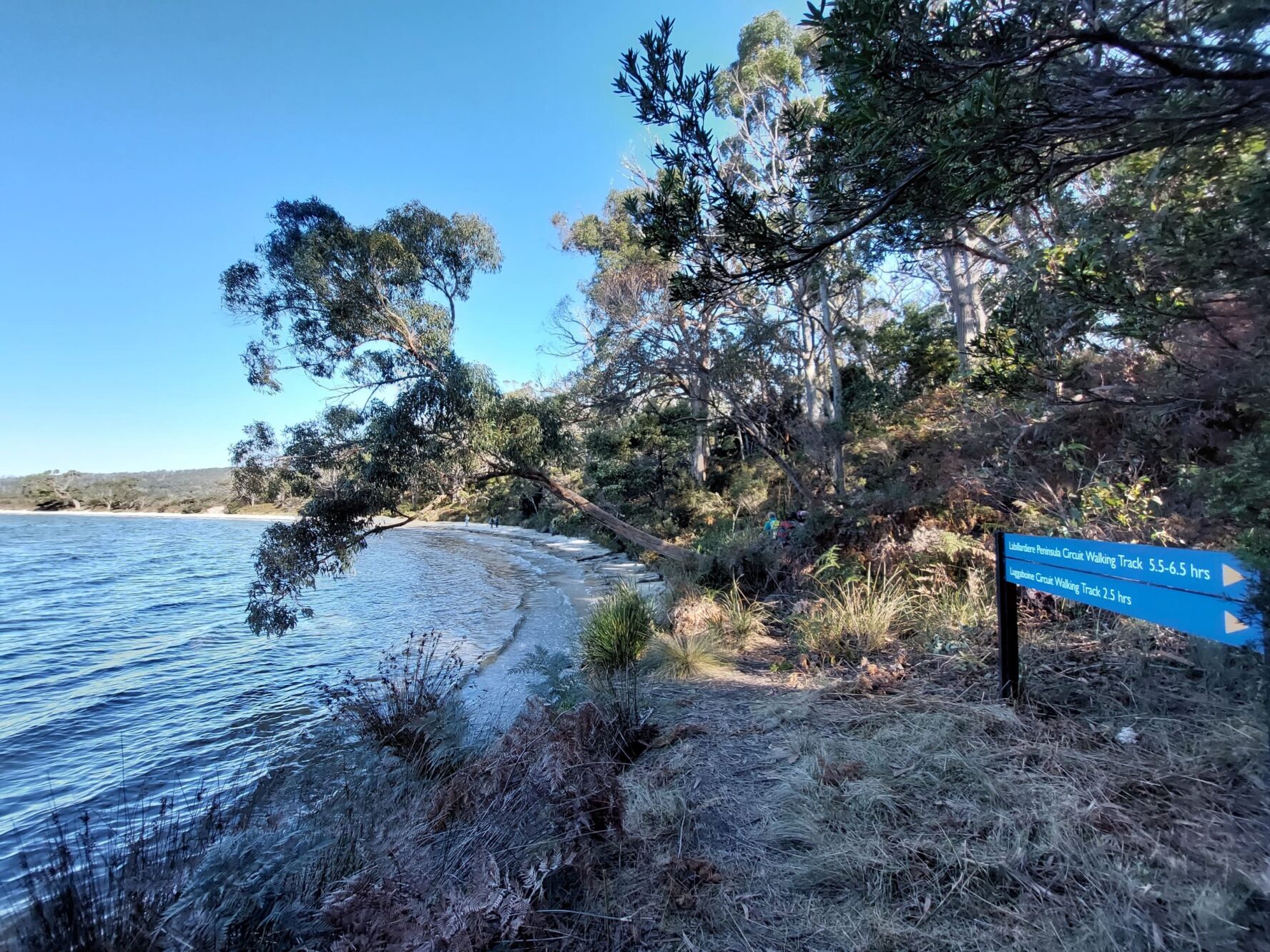 Bruny Island wilderness