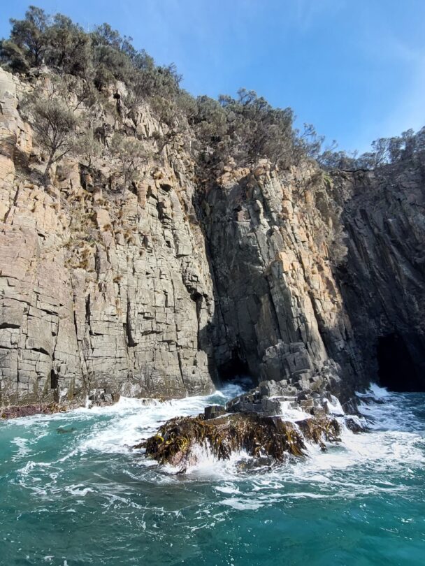 Bruny Island walking tour