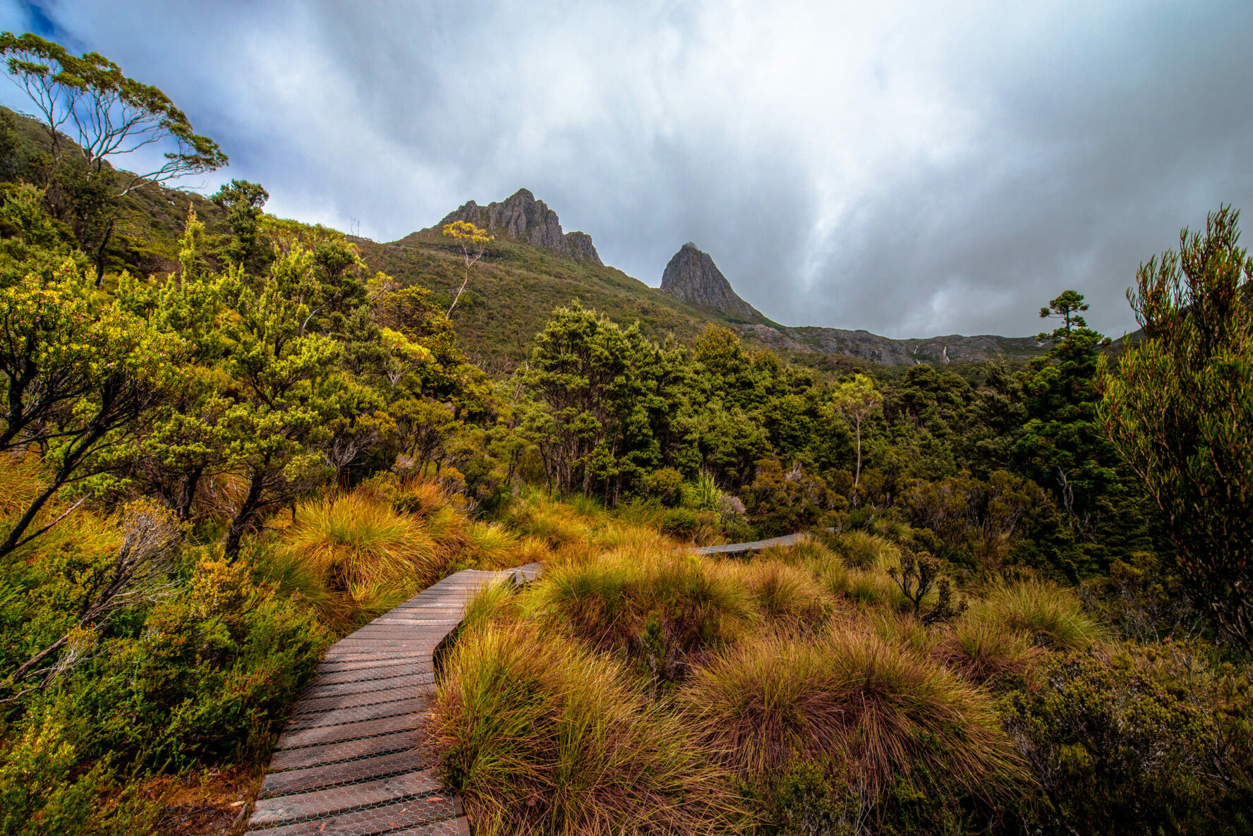 Cradle valley boardwalk in Tasmania