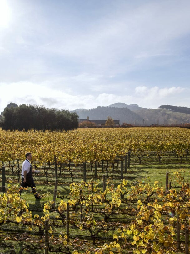 Cycling on Hawke’s Bay bike tour