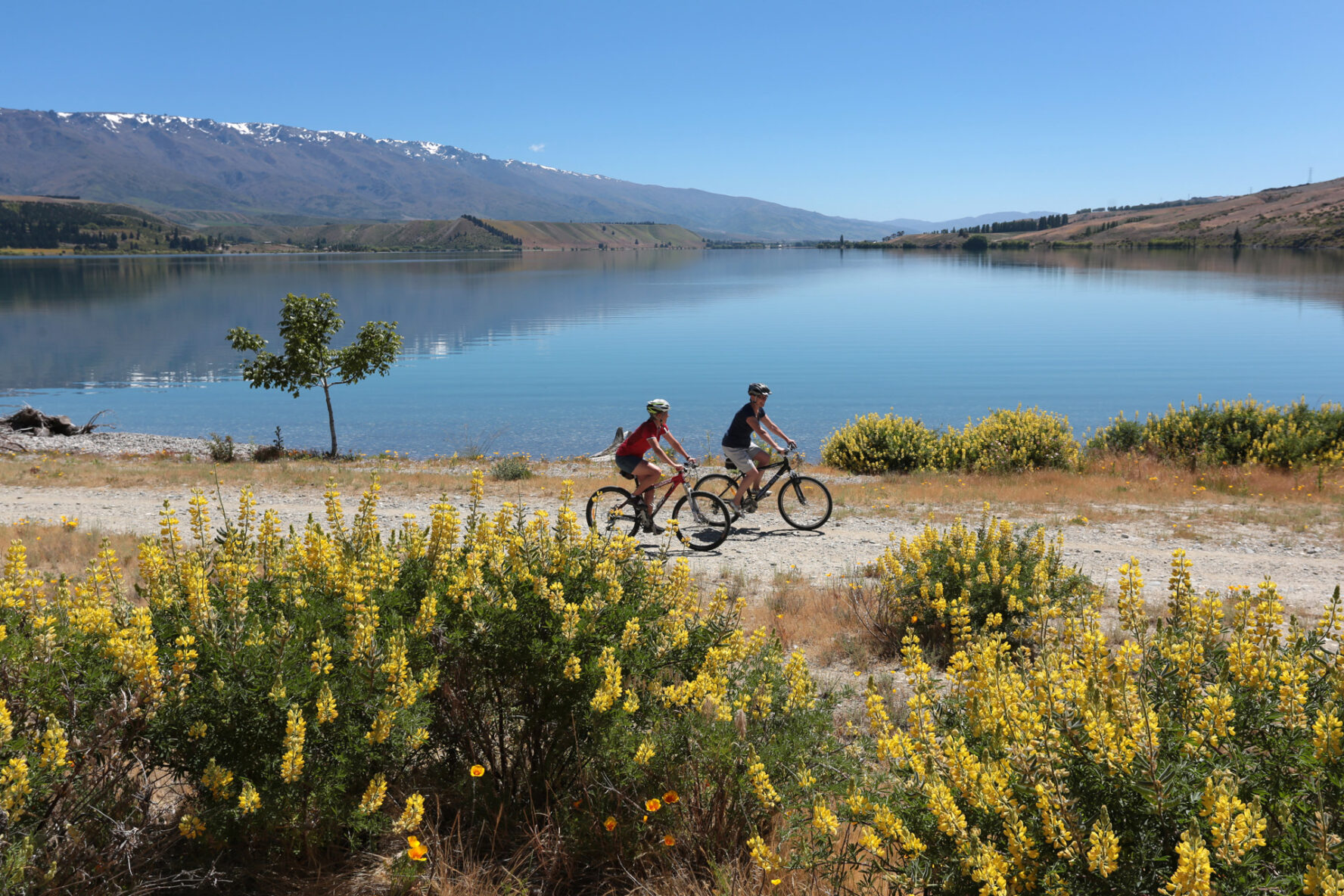 Cycling alongside Lake Dunstan
