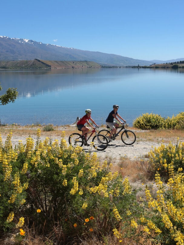 Poolburn Gorge on the Otago Rail Trail bike tour