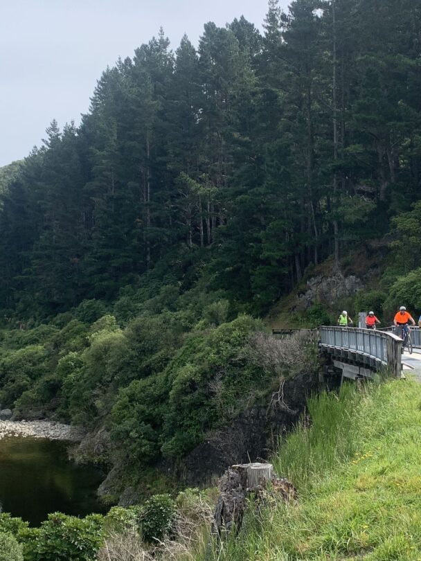 Cycling on Hawke’s Bay bike tour