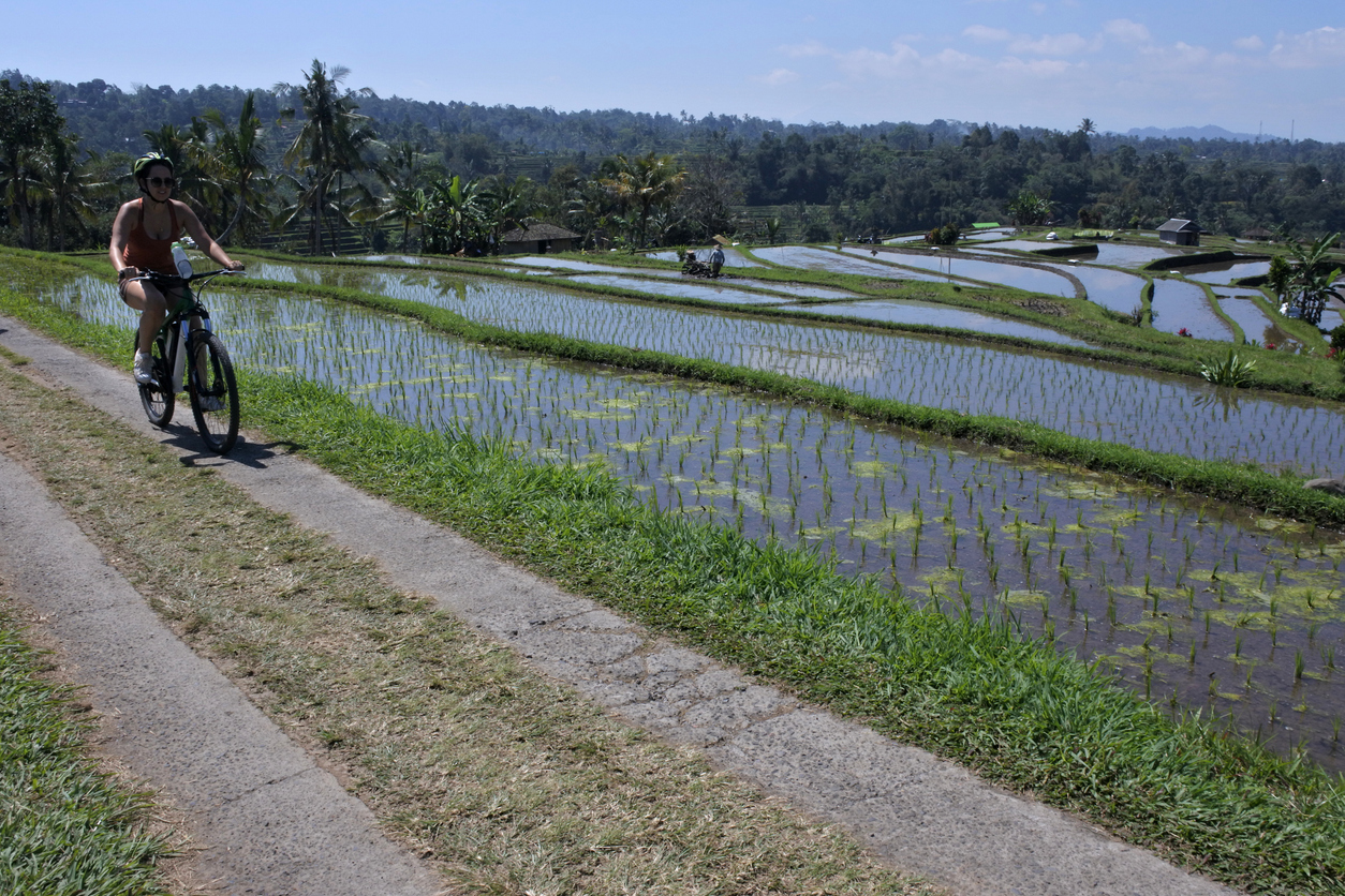 Cycling through rice terraced in Bali