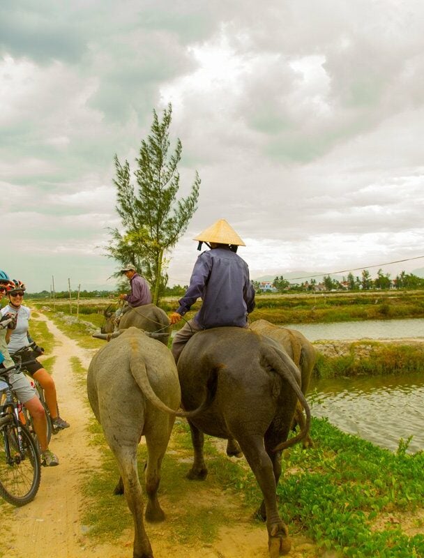 Cycling on a road along Vietnam’s Central Coast