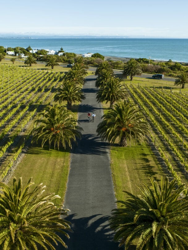 Cycling on Hawke’s Bay bike tour