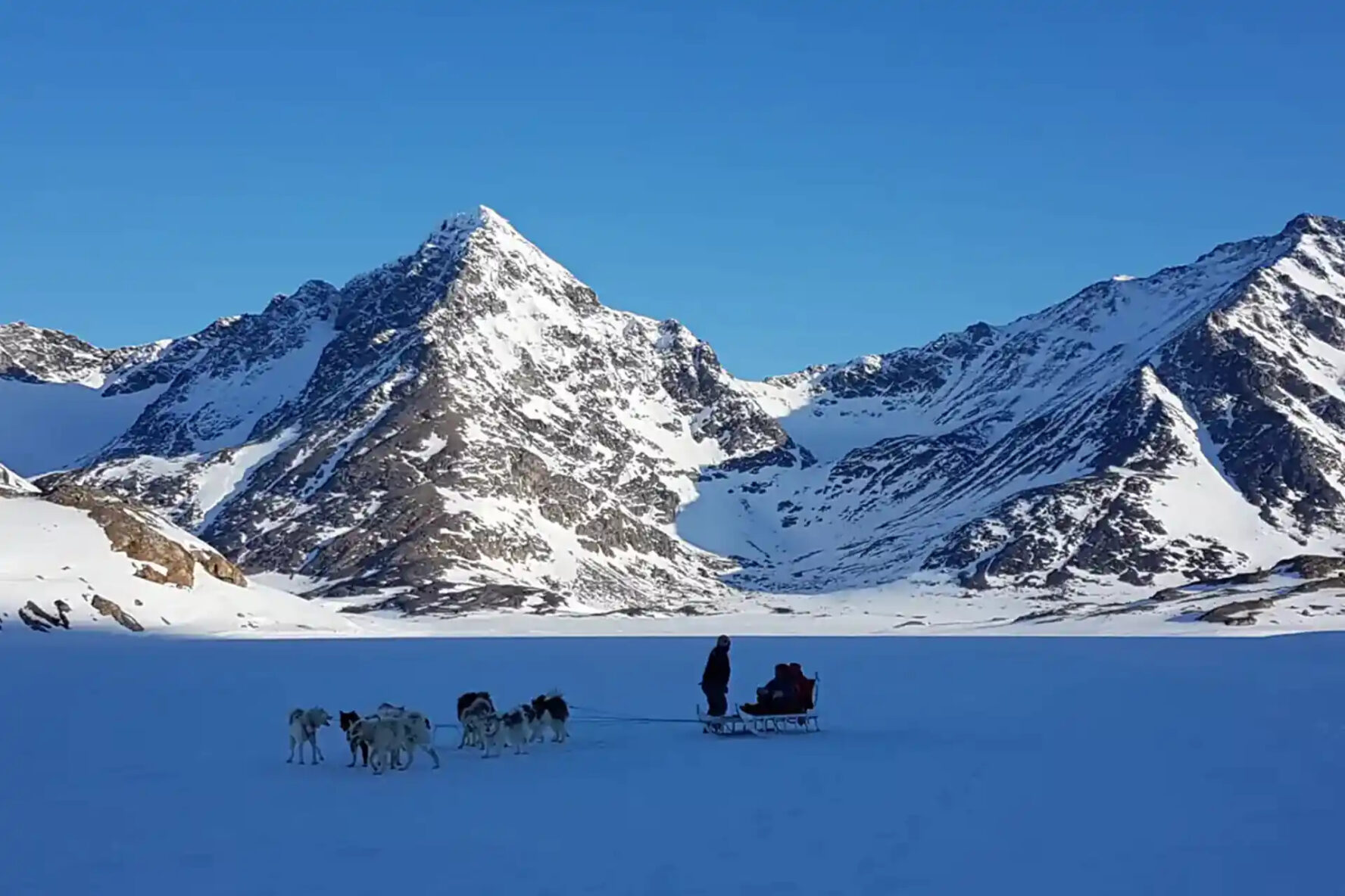 Dog sledding in East Greenland with snow-covered mountains in the background