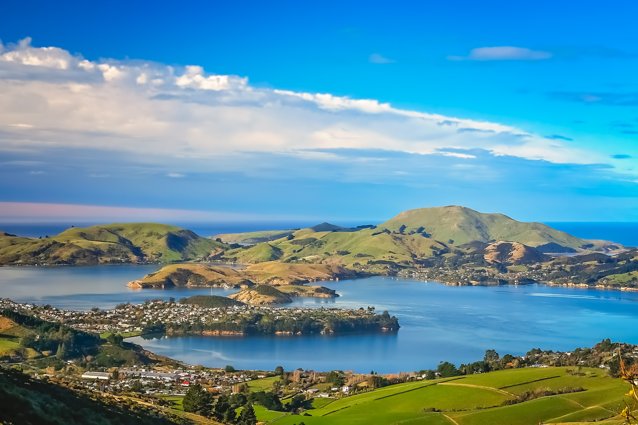 Dunedin town and bay view
