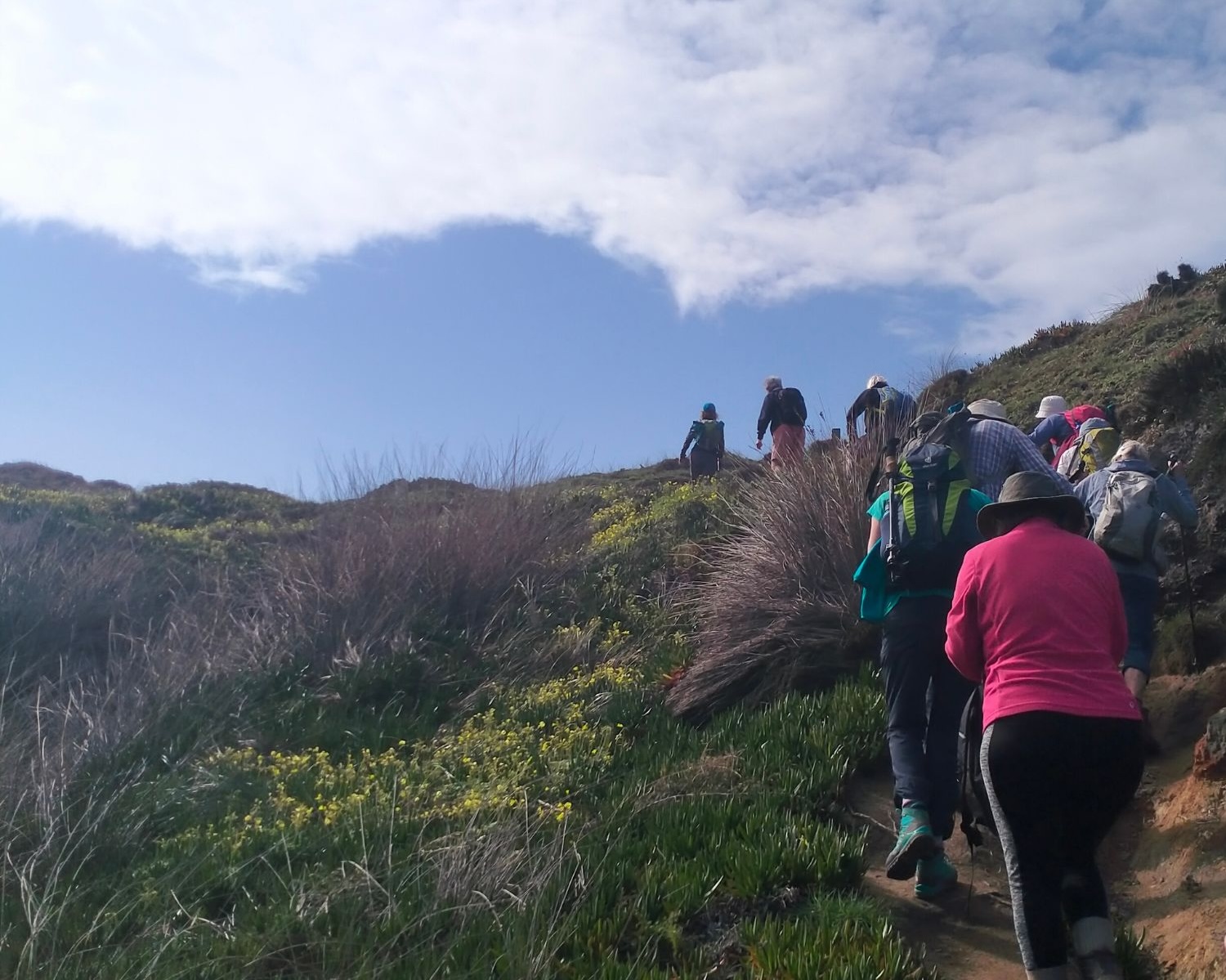 A group of hikers ascending a steep, grassy hillside in southwest Portugal