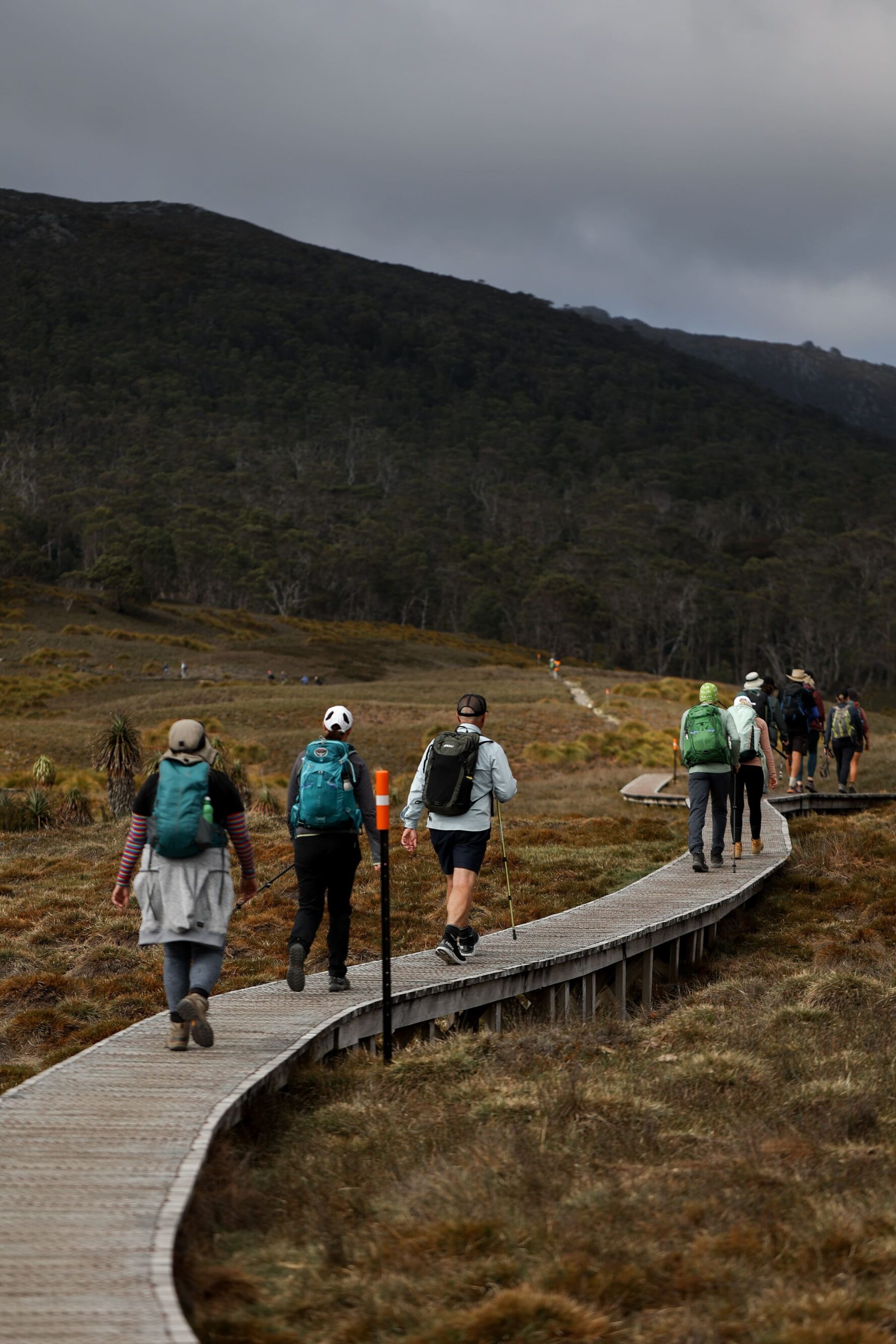 Hiking on a boardwalk in Tasmania