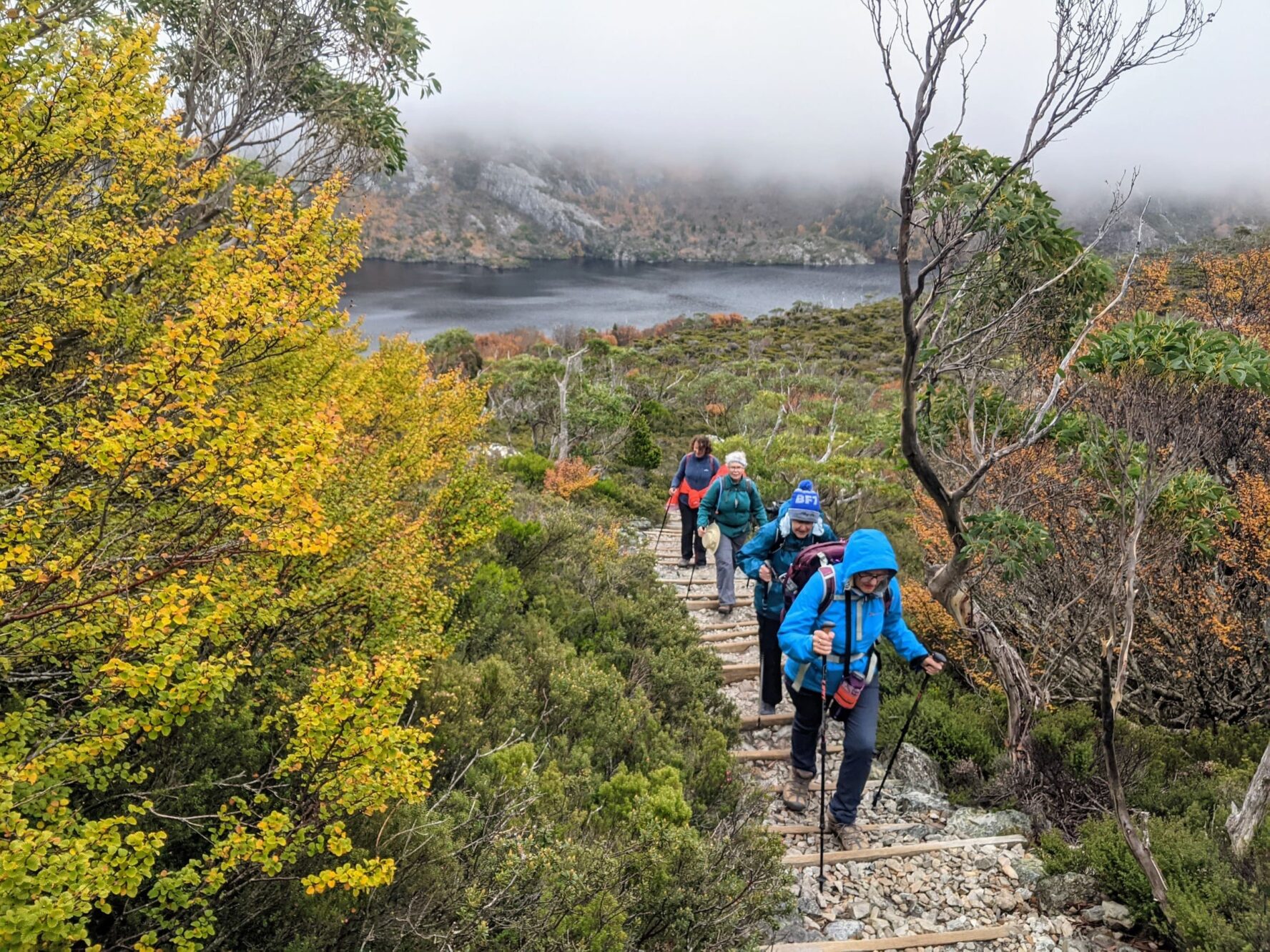 Hiking on a trail in Tasmania