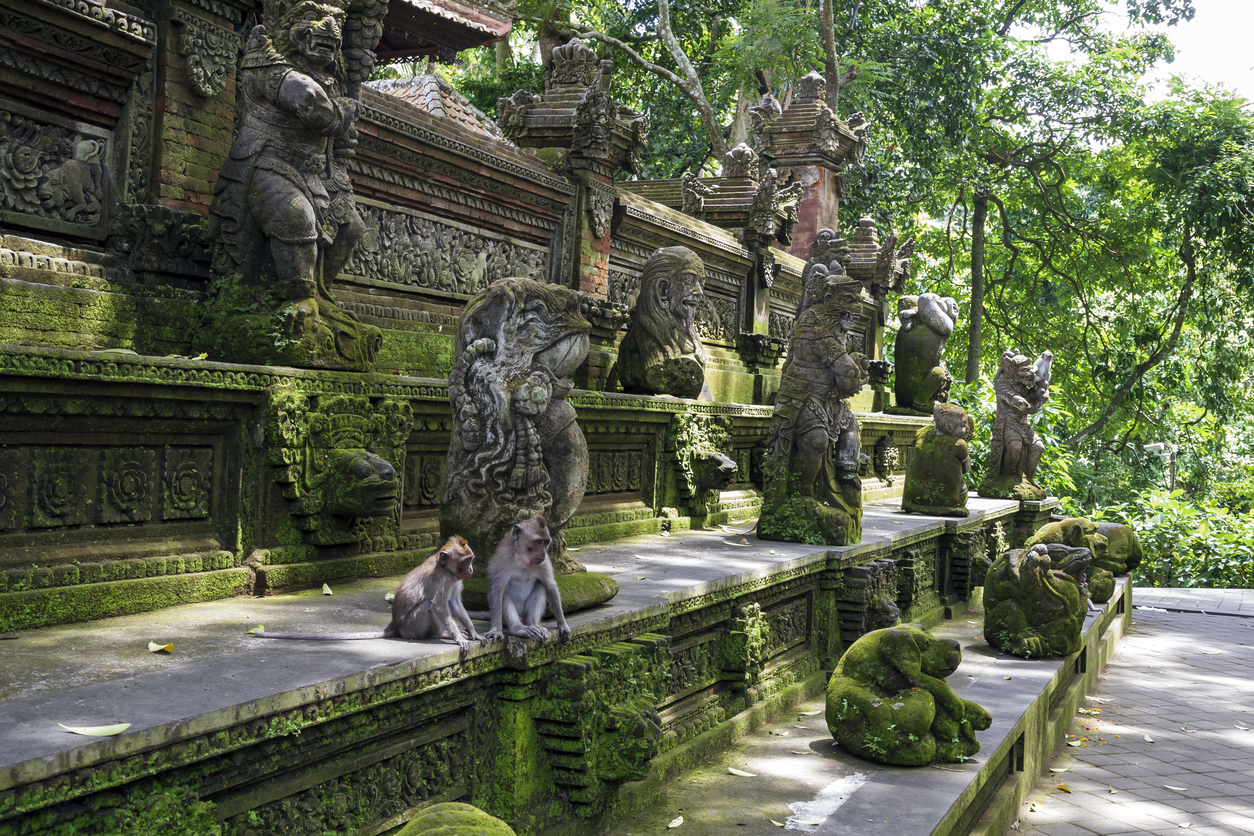 Monkey Forest Temple in Ubud, Bali
