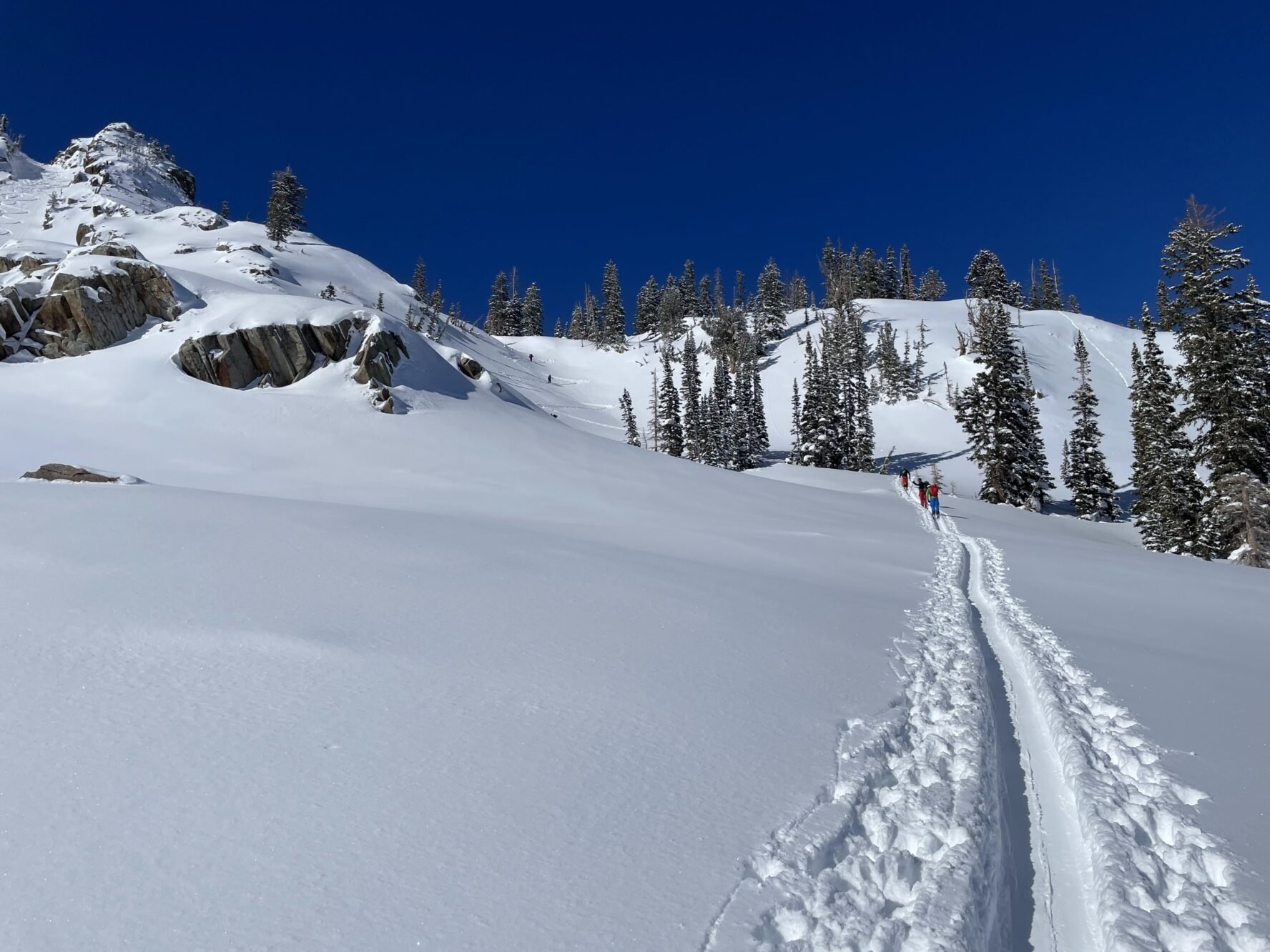 A narrow ski track winds up a snowy slope between trees and rocky cliffs