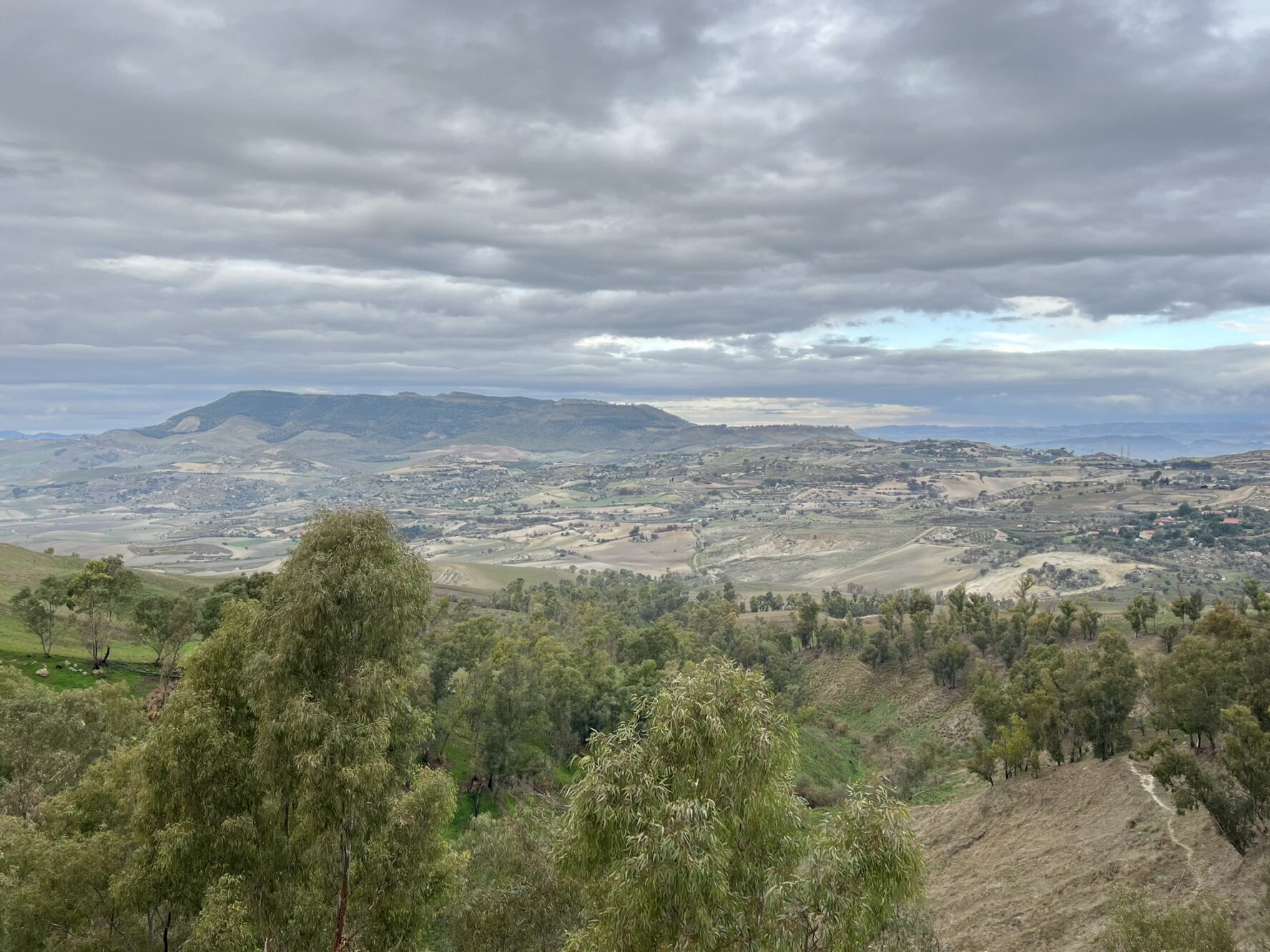 Path to San Michele di Ganzaria