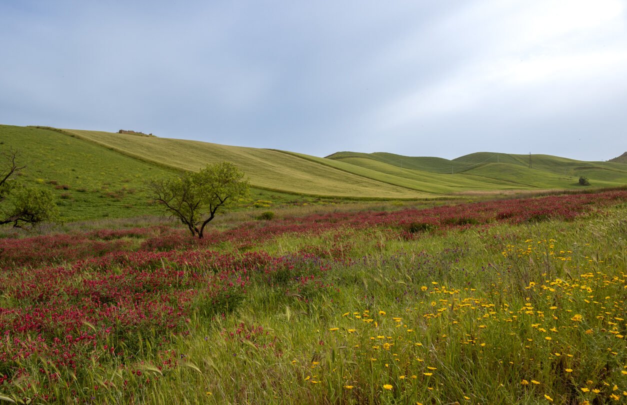 sicilian hills