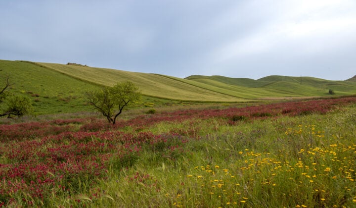 sicilian hills