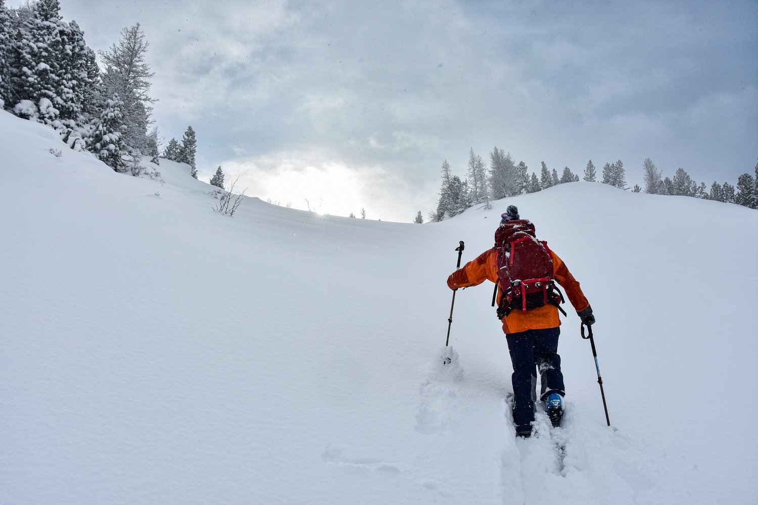 A skier climbs a slope of untouched snow in the Altay Mountains