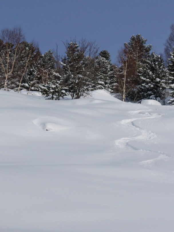 Altay Ski Touring: The Ultimate Remote Adventure