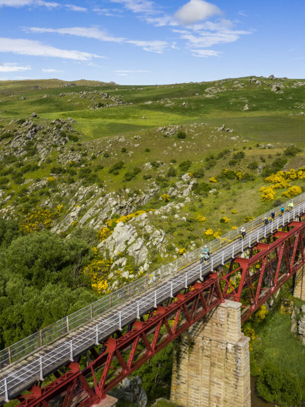 Poolburn Gorge on the Otago Rail Trail bike tour