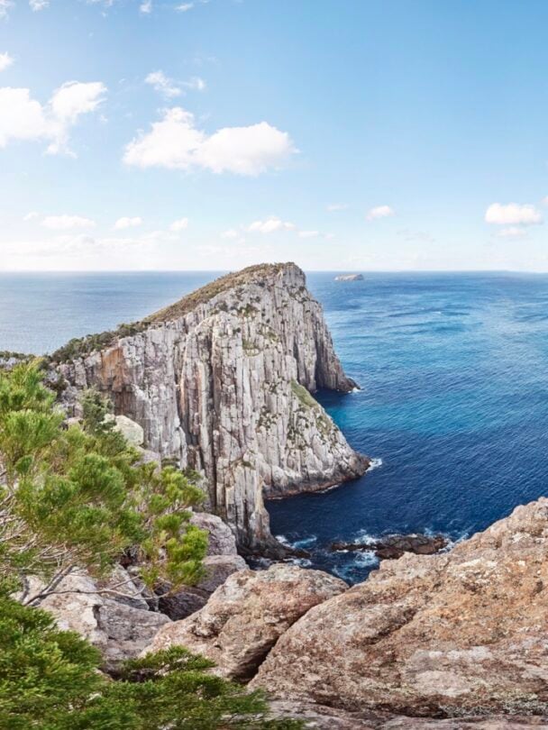 Three Capes guided walk