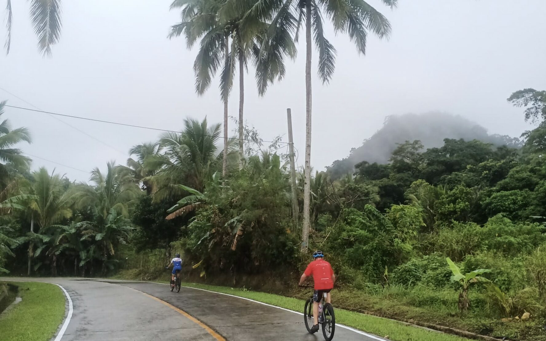Two cyclists on a road in the Philippines, surrounded by palm trees and fog