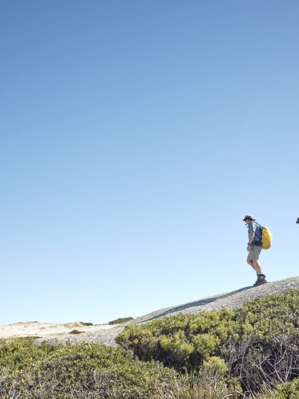 Bay of Fires tour