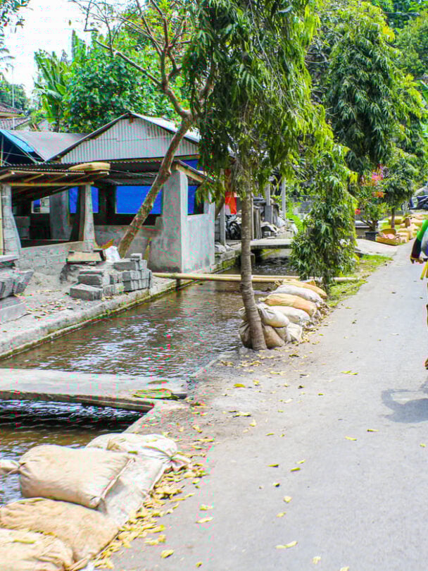 Bikers cycling through a field in Bali