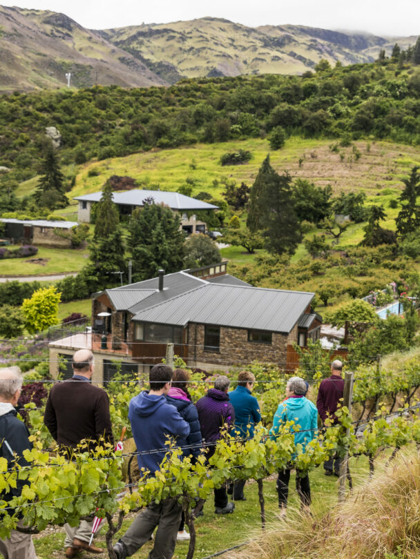 Poolburn Gorge on the Otago Rail Trail bike tour