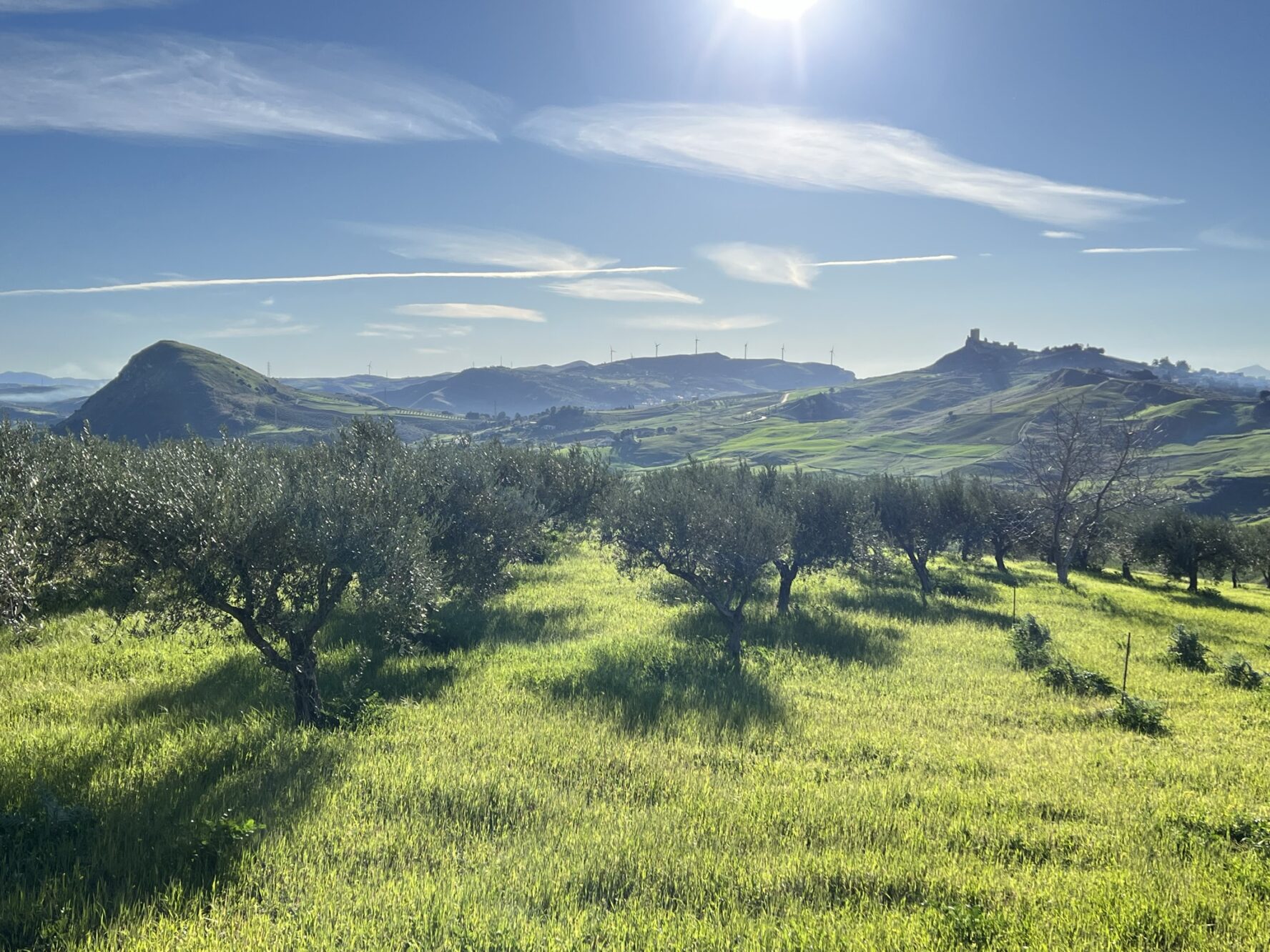 Walk to Cefala Diana