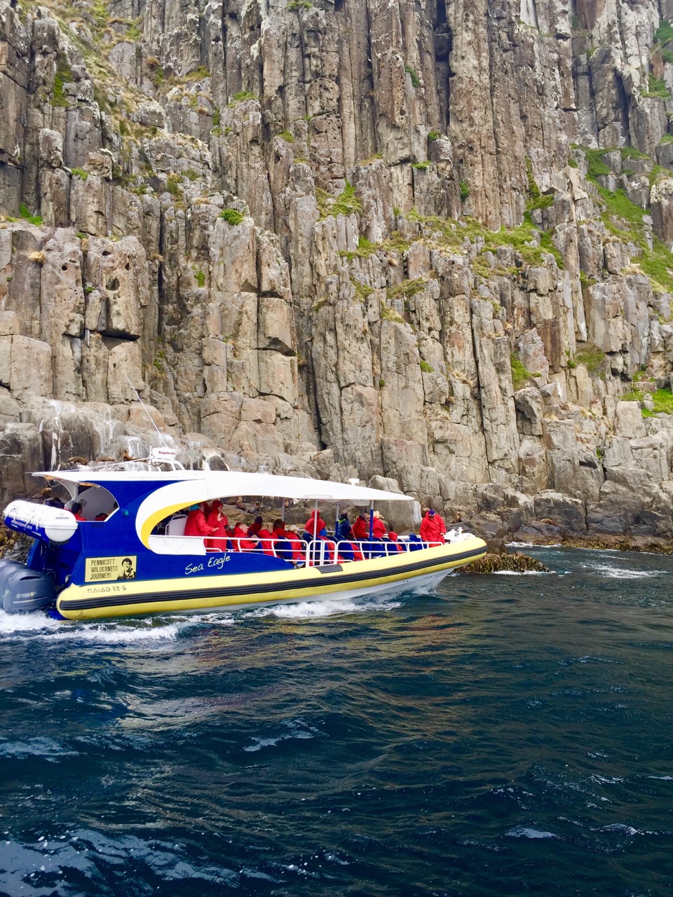 Wilderness cruise in Tasmania