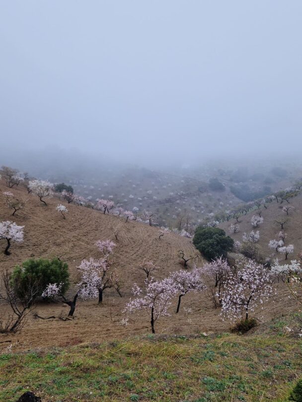 Walking holiday in winter in Spain