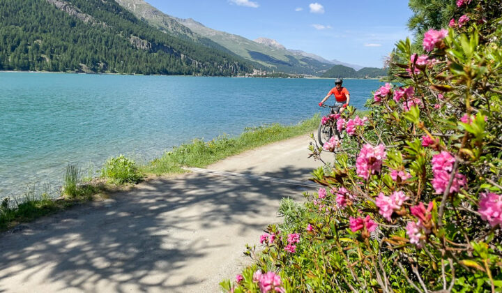 Alps lake biker