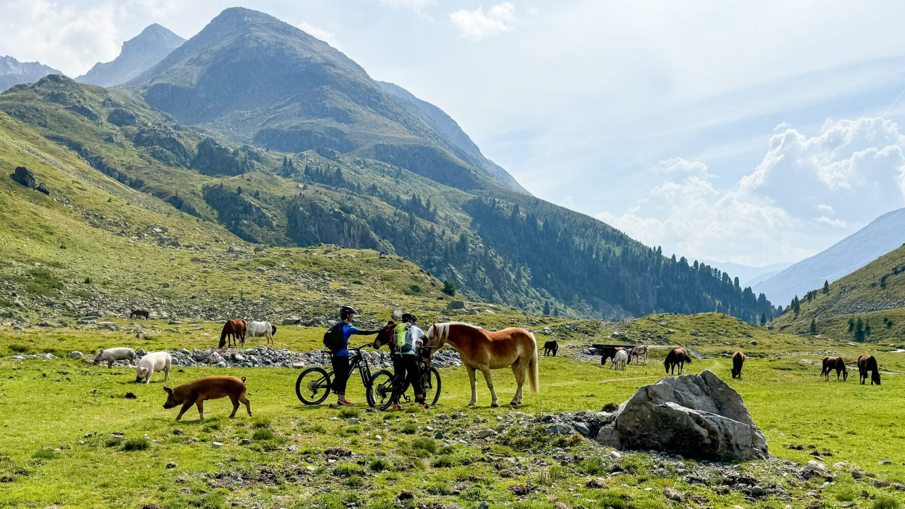 Bikers with horses and pigs