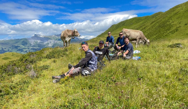 Bikers with a cow
