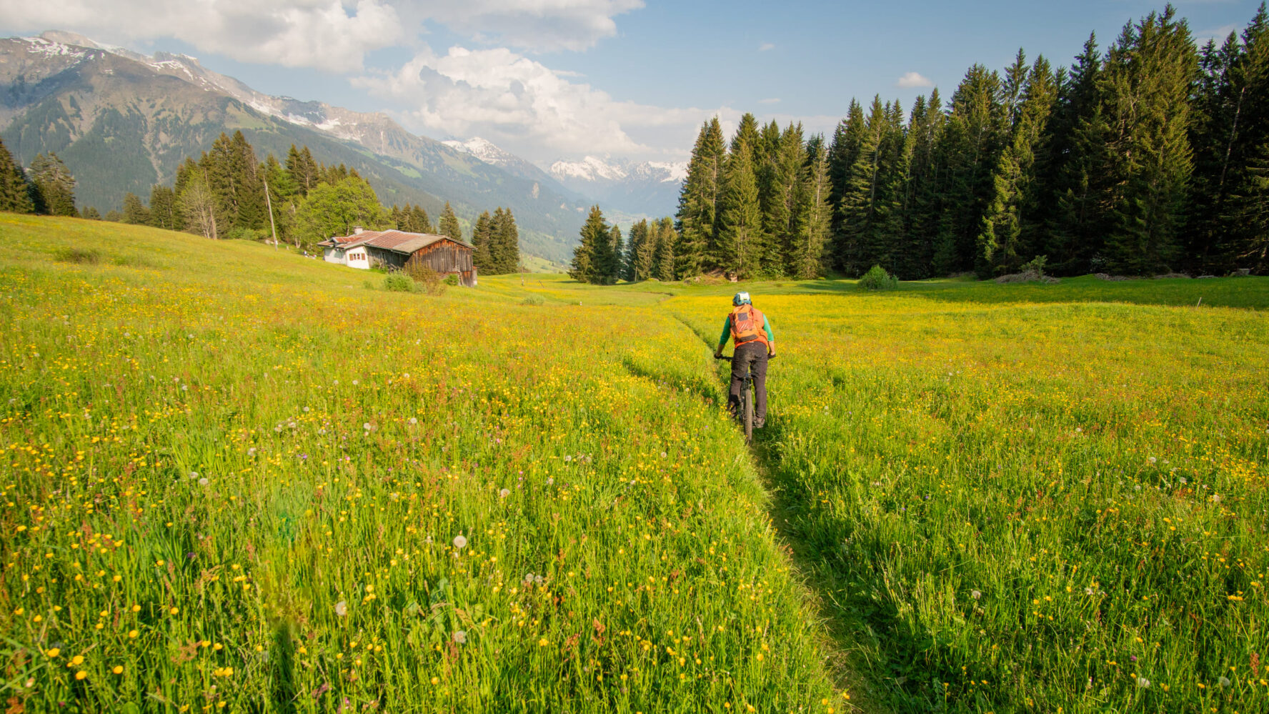 Cyclist lush valley Alps
