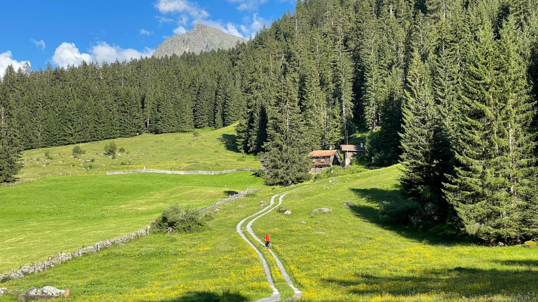 Cyclist trails Alps