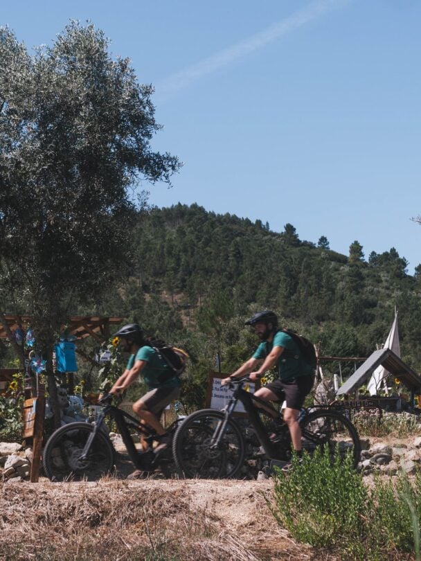 Coimbra to Fatima e-bike tour