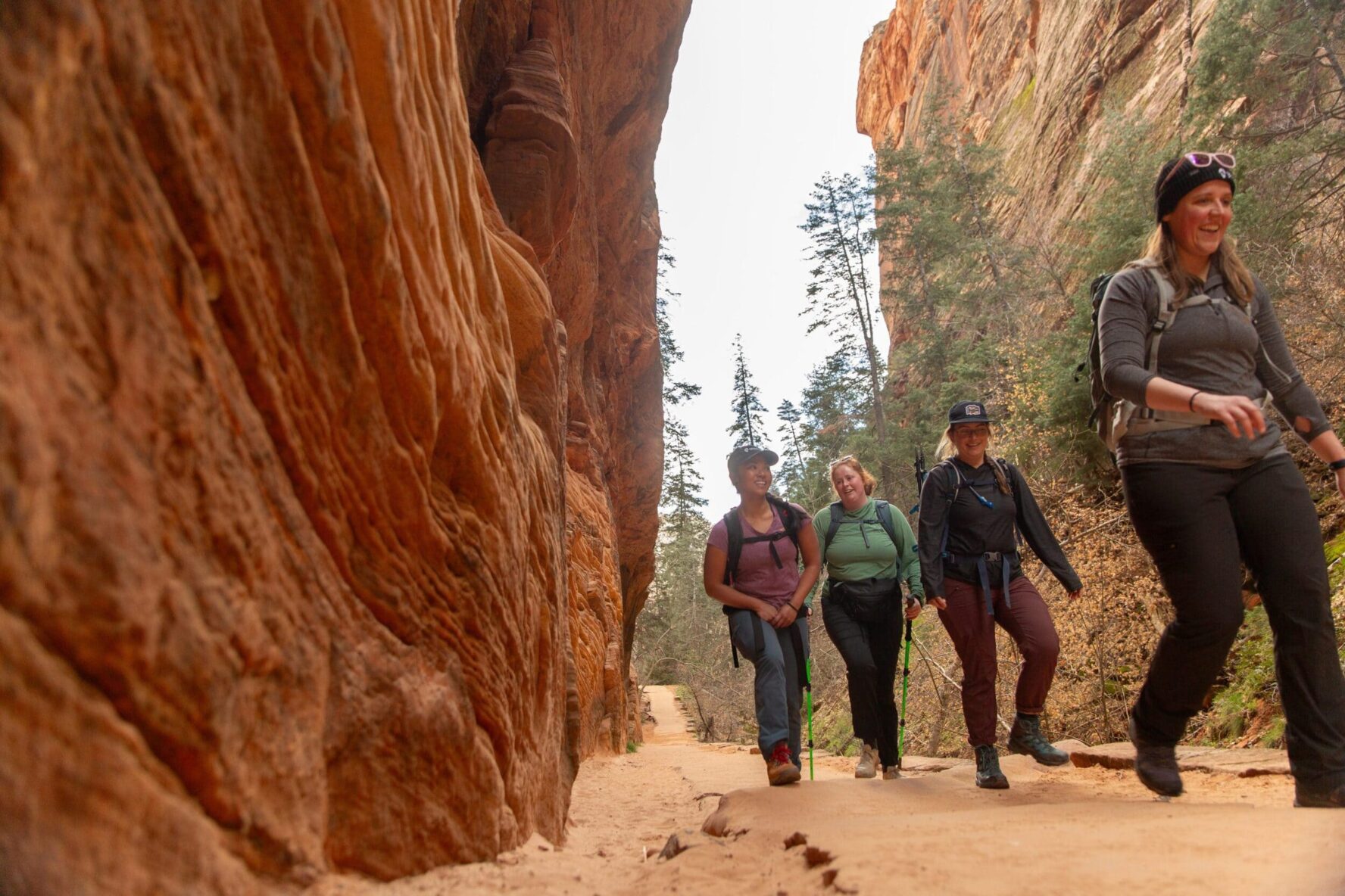 Four hikers on a camping trip in Utah
