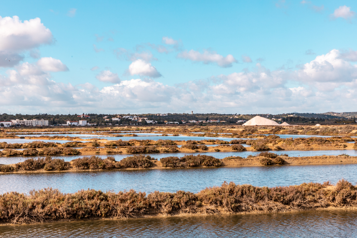 Fuzeta salt pans