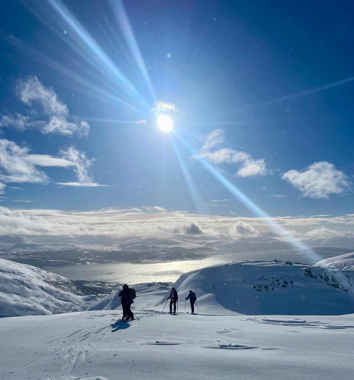 Group of skiers in Svalbard on a sunny day