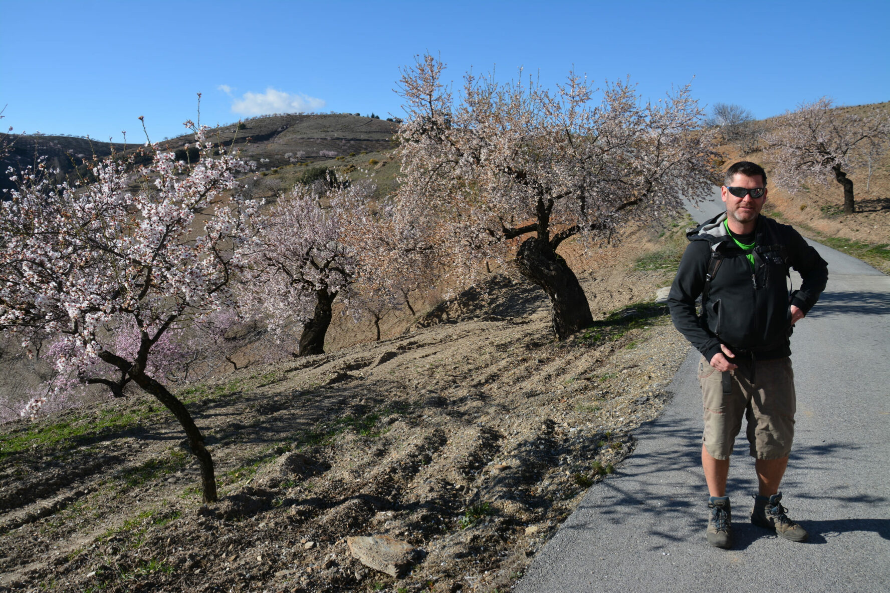 Hiker near almond trees