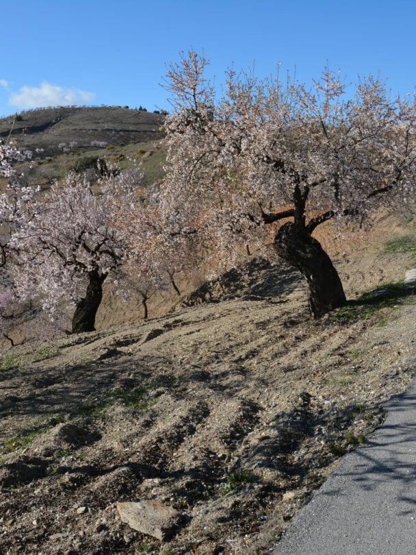 Walking holiday in winter in Spain
